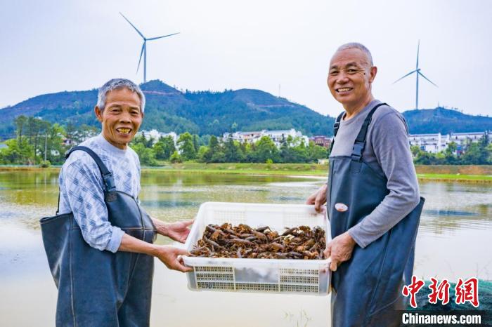 （乡村行·看振兴）江西吉水村庄“变形记”